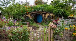 Want to start growing your own vegetables at home, but you have no idea where to start? Trends From The Nz Flower Garden Show