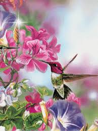 Hd Wallpaper Birds And Flowers Https Encrypted Tbn0 Gstatic Com Images Q Tbn 3aand9gcqg7vse3nmzqqw3lpz2cdol440ygfu4463okg Usqp Cau