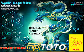 Pin Di Syair Naga Biru