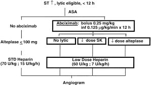 Abciximab Facilitates The Rate And Extent Of Thrombolysis