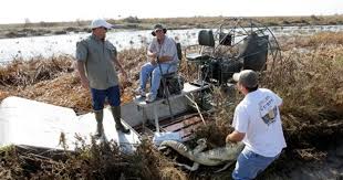 Check spelling or type a new query. Texas Alligator Capital Reeling From Ike