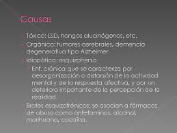 ¿qué ocurre durante un brote psicótico? Psicosis Como Enfermedad Mental Monografias Com
