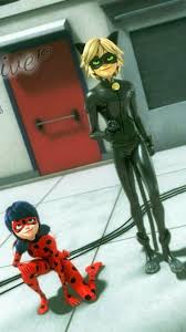 Miraculous Ladybug Ladynoir Ugur Bocekleri Kara Kedi Kedi