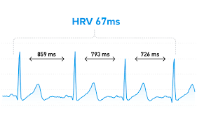 Heart rate is the speed of the heartbeat measured by the number of contractions (beats) of the heart per minute (bpm). Heart Rate Variability The Ultimate Guide To Hrv Whoop