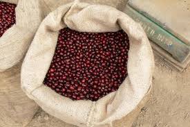 お姉さん 潮吹き 美熟女 輪姦 泥酔 深田えいみ 素人ナンパ センズリ鑑賞 不倫 無許可中出し 手コキ イキまくり 痙攣 人妻ナンパ 熟女マッサージ師. ã‚¨ãƒ«ã‚µãƒ«ãƒãƒ‰ãƒ«ã‚³ãƒ¼ãƒ'ãƒ¼ã®ç‰¹å¾´ Buckle Coffee