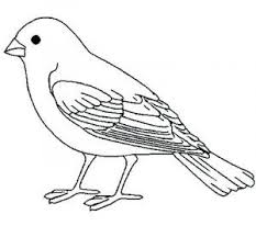 Ausmalbilder Vogel Zum Ausdrucken In 2020 Ausmalbilder Vogel Ausmalbilder Ausmalen