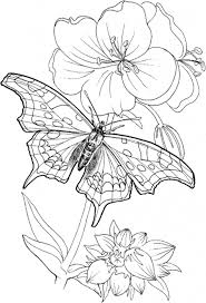 Various themes, artists, difficulty levels and styles. Free Printable Coloring Pages For Adults Only Coloring And Drawing