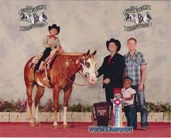 See who is a fan of limelite. Limelite Show Horses Sale Horses