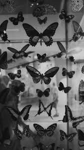 Aesthetic Black And White Koi Fish Wallpaper Imagen De Butterfly And Black And White Black And White Photo Wall Black And White Picture Wall Black And White Aesthetic