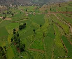 اجمل صور اليمن السعيد بعدسة خليفه ال عيسى البوم الصور D1g Golf Courses Nature Field