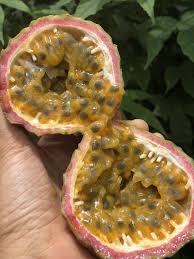 The leaves and stems are not dangerous but not really edible either. Passionfruit Lilikoi Box Miami Fruit