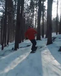 forest – Watch Video in High Quality for Free