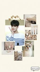 Aesthetic korean quotes wallpaper (i.redd.it). Eunwoo Aesthetic Wallpapers Wallpaper Cave