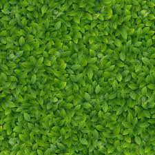 Leaf texture free brushes licensed under creative commons, open source, and more! Green Leaves Texture Illustration Royalty Free Cliparts Vectors And Stock Illustration Image 14749074