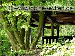 Familienausflug Im Bergischen Land Ein Besuch Im Nordpark In Wuppertal Ausflug Bergisches Land Wuppertal