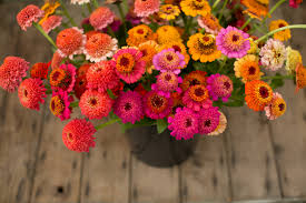 A flower cutting garden is a really good use of garden space and you can either create a dedicated cutting garden, or mingle your flowers throughout the garden. Creative Vegetable Gardener 7 Fabulous Cut Flowers To Grow In Your Garden Creative Vegetable Gardener