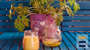 Avoid attracting these bugs in the first place by keeping your garden free of weeds all spring, at least as much as possible. News Sawyer Products