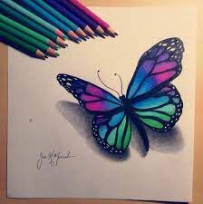 Pin On Butterflies And Dragonflies