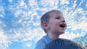 Fundraiser for Joey Gajda by Demi Bianchi : Help Joe find his Voice