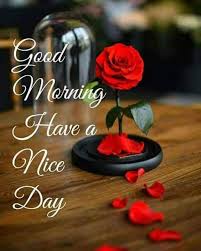 Good Morning Images Whatsapp Status Romantic Good Morning Love Quotes Messages Gif And Hd Photos To Wish Your Gf And Bf Newsx This great pic is from can u still hear me?