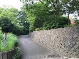 横浜時報 on instagram 蟹沢公園の坂道 ここを自転車で降りたり登ったりするのが爽快で楽しかった また水飲み場があるが 当時はこんな今風の形ではなく 蛇口だけの四角い形をした大きな水飲み場だった 横浜時報 阿久和団地 阿久和 阿久和町 阿久和南 横浜