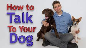 At this stage, you will push the button every time you and. Dog Training The Art Of Communicating With Your Dog Youtube