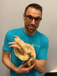 Slither onto Facebook today with...