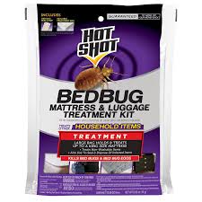 Image result for bedbugs on mattress