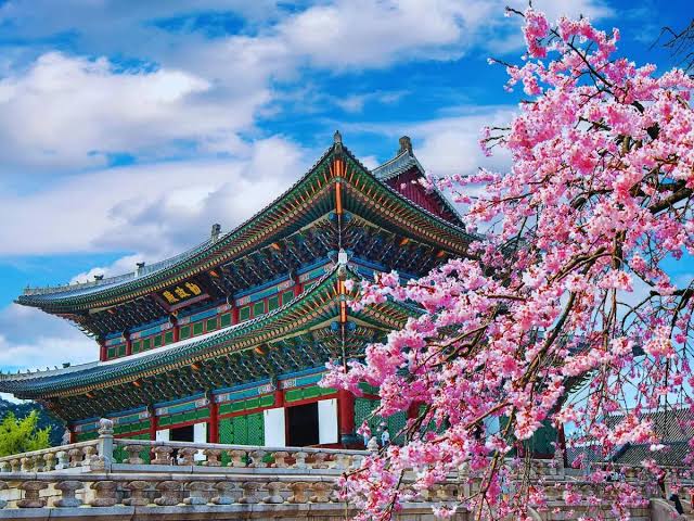 Seoul, South Korea -- cherry blossom season and city skyline
