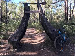 This was great spot for some lunch. Sunday Open Days Tours Attractions In Kalamunda