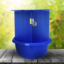 Image result for Tropinota hirta