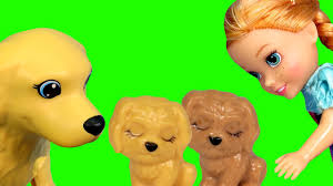 The natural pet doctor provides holistic pet care. Puppies Elsa Anna Toddlers Dog At The Pet Vet Sick Animal Doctor Clinic Youtube