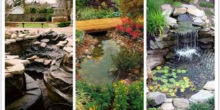 30 Great Rain Garden Landscaping Design Ideas In 2020 Rain Garden Design Backyard Garden Layout Garden Landscape Design