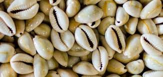 Resultado de imagem para os buzios