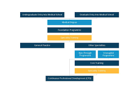 However, the timing can vary depending on the institution, if you elect to take additional courses or a leave of absence, or pursue additional training like a master's of public health (mph) degree. How To Become A Doctor In The Uk A Step By Step Guide Study Medicine Europe