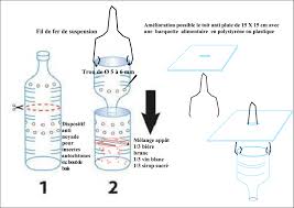 Pour donner aux autres espèces que les frelons une chance de s'échapper, faites des trous avec un foret de 6 mm tout autour de la bouteille n° 1. Frelon Asiatique A Vichy