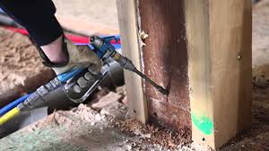 The average cost for pest control is $250. No Tent Cost Of Termite Treatment Command Pest Control
