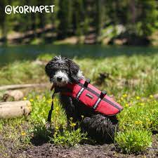 ❤ make sure to drop by the pet express store nearest you to give your li'l buddy… Korna Natural Pet Supplies 49 Photos 22 Reviews Pet Stores 1174 Marine Drive North Vancouver Bc Canada Phone Number