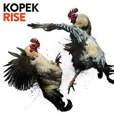Jahrein yeni sahiplendiği köpeği gösteriyor. Kopek Rise Neues Album 2014 Cd Kritik