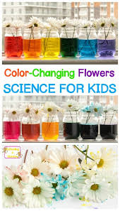Color changing flowers lesson plan. 4cqwpatfioxfum