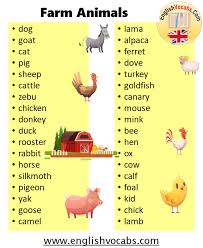 Let's forget about the domestic dog breeds and house cats of the world, and check out what the animal kingdom has to offer. Farm Animal Names List Form A To Z English Vocabs
