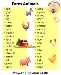 American pikas are related to rabbits and hares. Farm Animal Names List Form A To Z English Vocabs