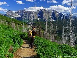 The Loop Trail Highline Trail Glacier National Park Glacier National Park Glacier Park Park Trails