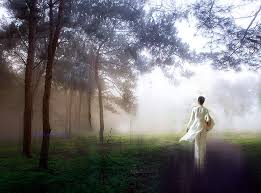 Sương Khói Bên Trời - Bùi Nguyên Bằng