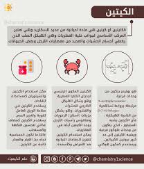 ما هو الكيتين التعريف والاستخدامات chitin words word search puzzle ili