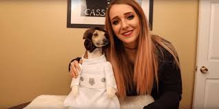 Dogs Try On Halloween Costumes The Fix