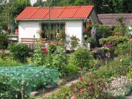 Sie möchten einen garten pachten? Schrebergarten Zahlen Fakten Rund Um Den Kleingarten