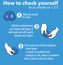 Barbados Family Planning Association - April Is Testicular Cancer Awareness  Month!! Checking For Lumps And Bumps As Part Of Testicular Health: 💙 What  Should I Look For? • A Lump Or Enlargement