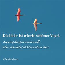 Romantische Sprüche Und Liebeszitate Lovelyslothcom