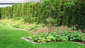 Dein Garten In 2020 Naturgarten Landschaftsgartner Gartenbau